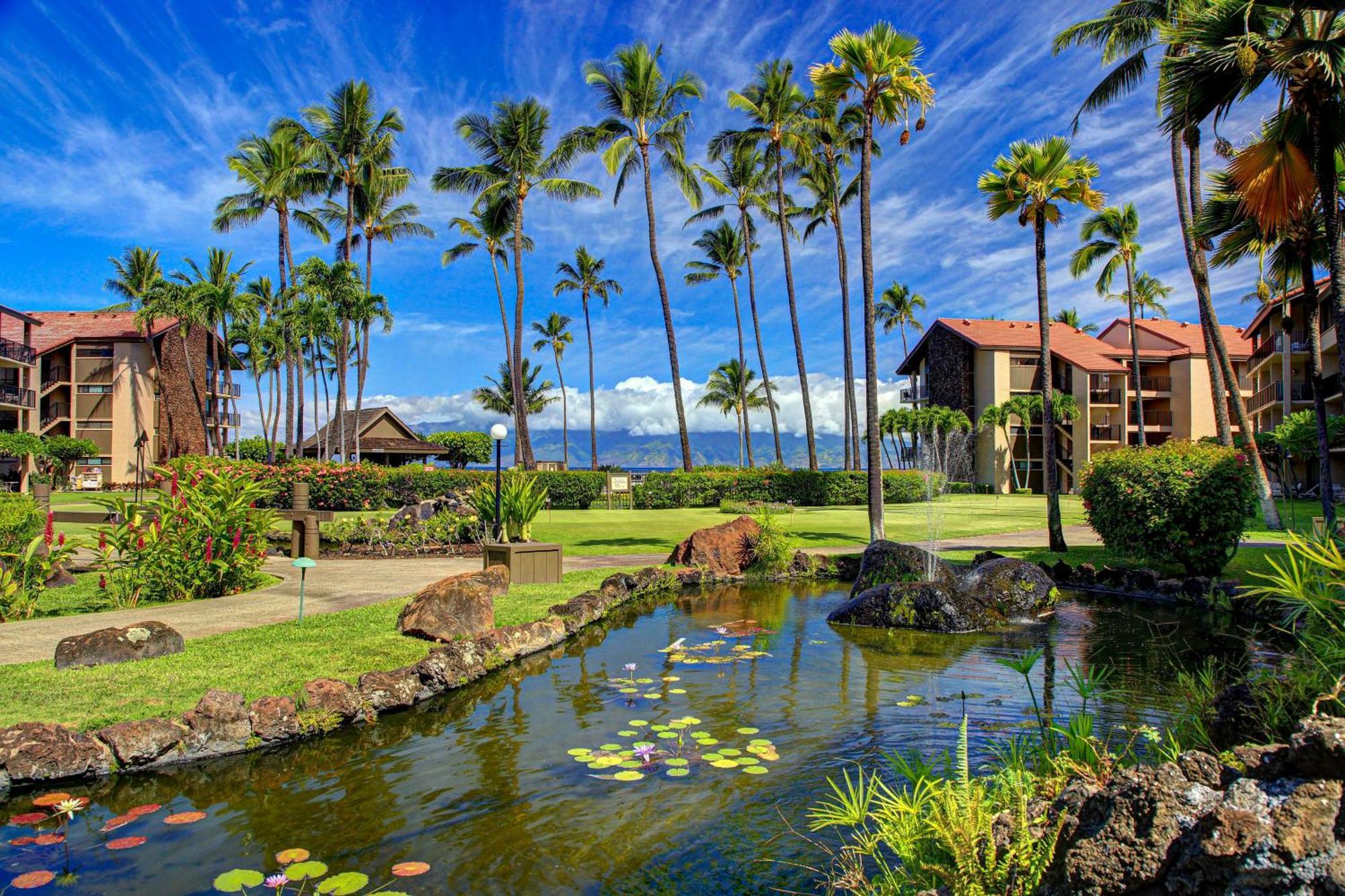 Papakea Resort Napili-Honokowai Habitación foto